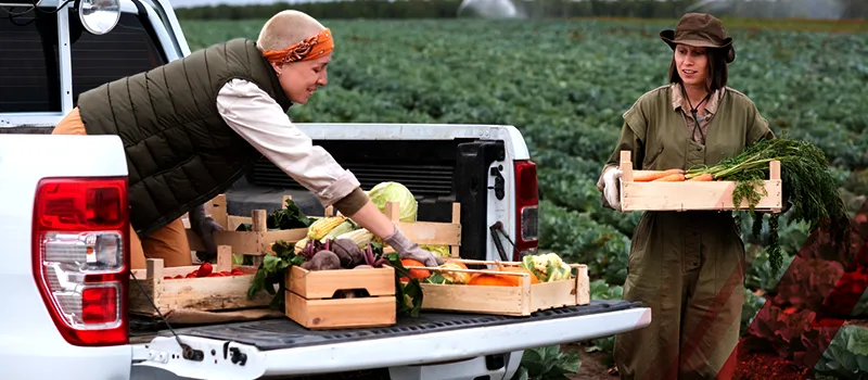 How Does Agricultural Supply Chain Service Ensure Transparency and Quality?